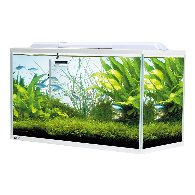 GEX AQUA FILTER Silent Flow W Quietness Hybrid Filter White