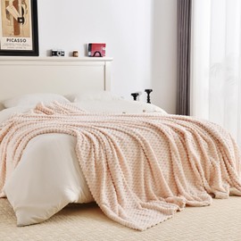 PLEASANT BOULEVARD PLEASANT BOULEVARD Fleece Throw Blanket for Couch with 3D Turtle Shell Jacquard Soft Blanket, Fuzzy Blanket for All Seasons 60x80 Inches, Beige