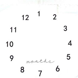 Baby Photography Prop Milestone Blanket Baby Boy Baby Girl Weekly Monthly Yearly Swaddling Blanket Photography Backdrop (Monthly Milestone Blanket, 40 X 40 Inches)