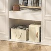Aokeyee Shoe Organizer for Closet, 2 Pack Foldable Shoe Storage