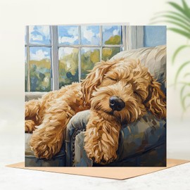 Beau Willows Labradoodle Birthday Card from the Dog - Adorable Sleeping Dog Card for Dog Mum, Dad, Wife, Husband, Girlfriend, Boyfriend