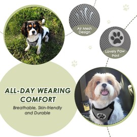 Nasjac Dog Car Harness with Seat Belts, Safety Adjustable Dog Seat Belts for Cars with Clip and Buckle, Breathable Mesh Pet Vest Harness Seatbelts with Secure Elastic Buffer for Travel
