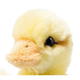 Steiff Miniature Duckling Plush Toy Machine Washable Collectible Quality Gift