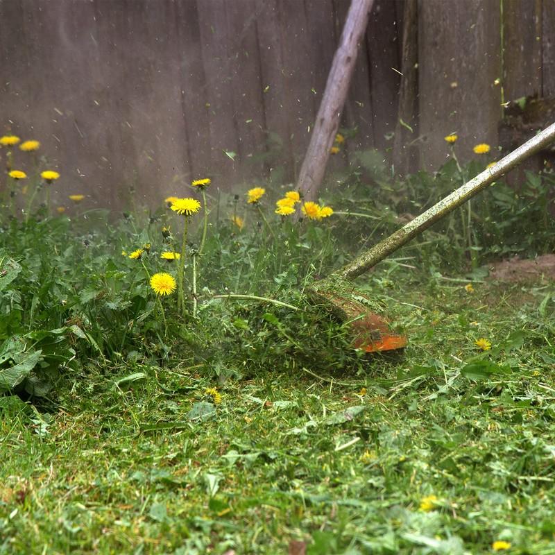FEPITO 2.0mm x 100m Strimmer Line for Garden Grass Petrol