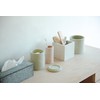 soil Diatomaceous Earth Cotton Swab Container White