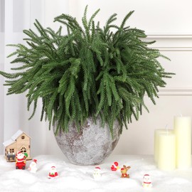 SXJINGLIMY 12 Pcs Norfolk Pine Branches, Christmas Decorations Indoor, 18" Real Touch Faux Greenery Norfolk Pine Stems for DIY Vase Christmas Garland Indoor Outdoor Christmas Decorations