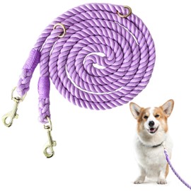Daizzy Gear Hands Free Rope Leash – Durable, Adjustable, and Comfortable for Everyday Walks, Runs, and Hikes with Your Dog