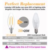 Lamsky E14 European Base LED Filament Edison Bulb, 2W Warm