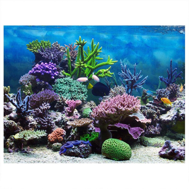 PVC Adhesive Underwater Coral Aquarium Fish Tank Background Poster Backdrop