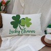 Ogiselestyle Lucky Charm Clover Throw Pillow Cover, 12 x 20