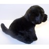Labrador (Black) Soft Toy 12"
