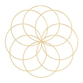 NUOBESTY Dream Catcher Rings 10cm Wire Wreath Frame Metal Macrame Ring Hoops Making Wreath Supplies for DIY Floral Craft Valentines Day Dream Catcher Wreath Golden 10Pcs