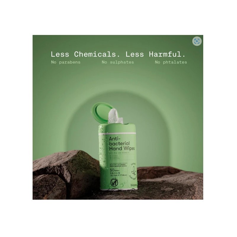 Biopure 2 Antibacterial Hand Wipes Fresh Morning Breeze 100 CT