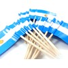 QQSD Argentina Toothpick Flag Argentine Small Mini Cupcake Topper Flags,100