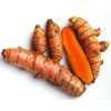 NINE SHANI Turmeric Roots Yellow Fresh Whole Raw Non GMO