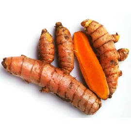 NINE SHANI Turmeric Roots Yellow Fresh Whole Raw Non GMO - Fresh Harvest: 4Lbs.