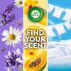 Air Wick Plug In Scented Oil Refill,Summer Delights, 10 ct