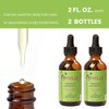 Mielle Organics Sunnydaze Decor MIELLE Colección Romero Mint (aceite, 2