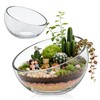 2Pack Slant Cut Bowl, Glass Terrarium, Glass Fish Bowl Vase,