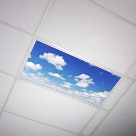 OCTO LIGHTS Fluorescent Light Covers Cloud Sky Panel for Ceiling Lights, Light Covers for Ceiling Lights Classroom 2x4 (22.38"x46.5") Backlit Film Insert for Fluorescent Light Fixtures (Pack of 1)