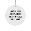 Insurance Sales Agent Circle Ornament, I Can't Fix Stupid But