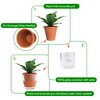 D'vine Dev 4 Inch Design Self Watering Pot for Indoor