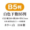 Kyoei Plastic White Underlayment SIJ (B5)