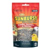 Higgins 6 Pack of Sunburst Leafy Greens & Herbs Gourmet