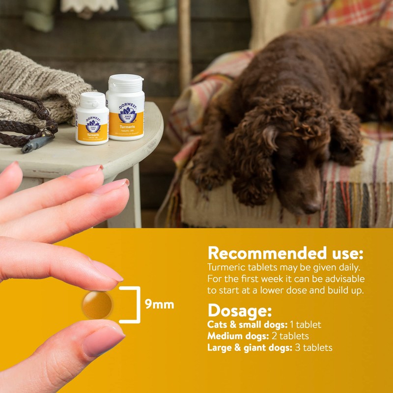 Dorwest Turmeric Tablets for Dogs and Cats, 100 Tablets, Easy-To-Absorb