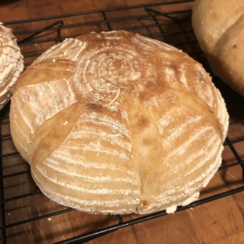 Heritage Sourdough Dehydrated Sourdough Starter 1849 Boudin Baker's San Francisco