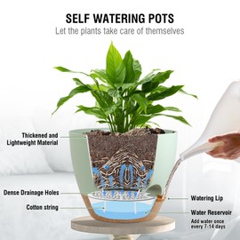 Meowell 10 inch Self Watering Hanging Planters for Indoor Plants, 2 Pack Hanging Baskets for Outdoor Plants, Hanging Flower Pots with Drainage Holes & 2 Kinds of Plant Hangers for Home Decor, Green