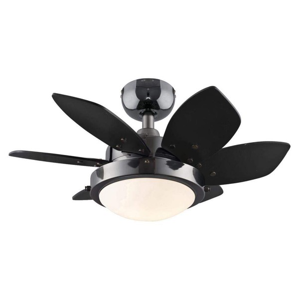 Ciata Small Ceiling Fan With Light, 24-Inch Quince Indoor Ceiling