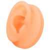Silicone Ear Acupuncture Practice Model Reusable Simulation Ear Display Model