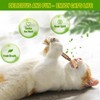 wonderflower Natural Silvervine Cat Chew Sticks, Feathered Cat Toys, 6-Piece