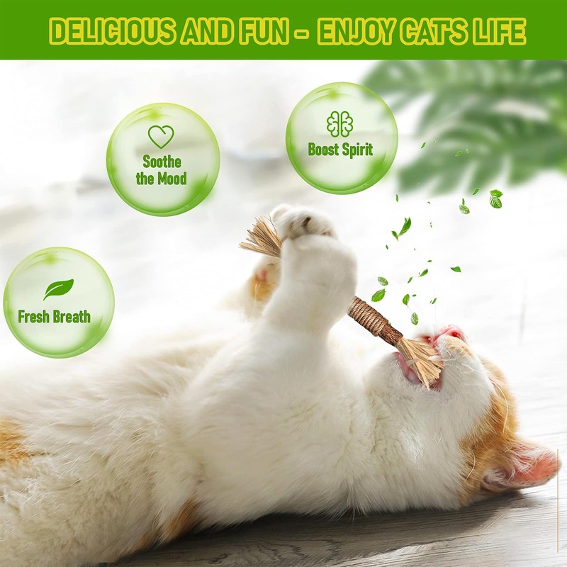 wonderflower Natural Silvervine Cat Chew Sticks, Feathered Cat Toys, 6-Piece