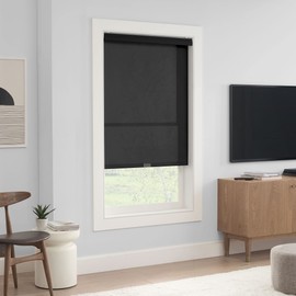 ECLIPSE Solar Modern Cordless Light Filtering Privacy Window Roller Shade for Bedroom or Living Room (1 Pack), 48 in x 72 in, Black