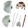 2 PCS Jumping Spider Feeding Dish, Tiny Food Dishes Water