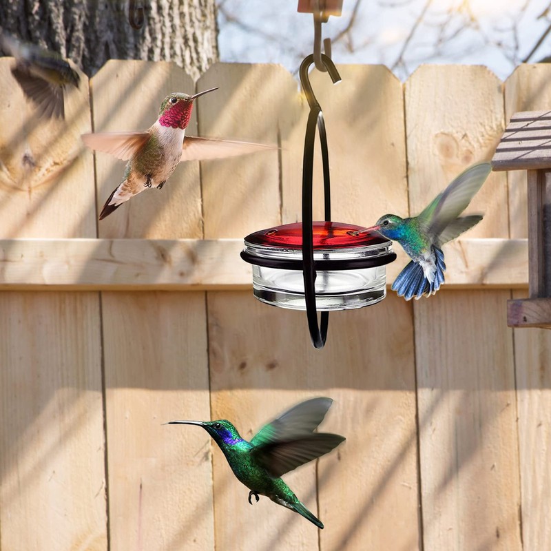 3 Pcs Hummingbird Feeder Metal Hanging Bird Feeder for Outdoor