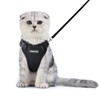 Rabbitgoo Cat Harness and Leash Set, Suitable for Dogs and