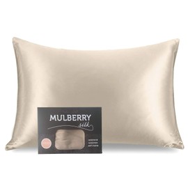 Cognatio 22 Momme 100% Pure Silk Pillowcase for Hair and Skin, Both Sides Grade 6A Mulberry Silk Pillow Case with Hidden Zipper, 1 Pack (Champagne, Queen 20x30 inches)