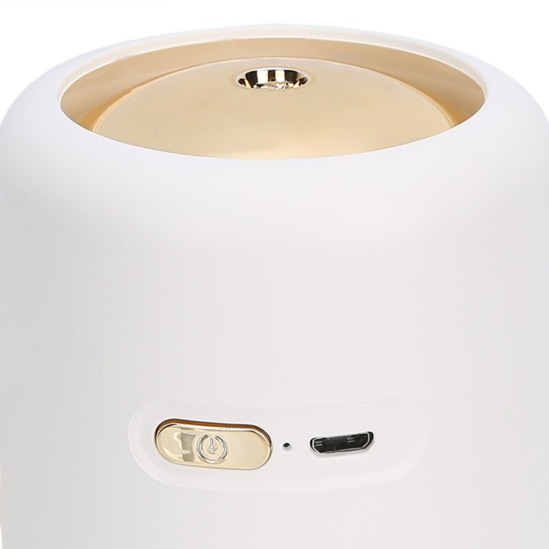300ml Air Humidifier Mist Maker Sprayer Night Light USB Plug