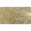 Henry Moore Bolted Grits| Stone Ground Heirloom Open Pollinated non-GMO