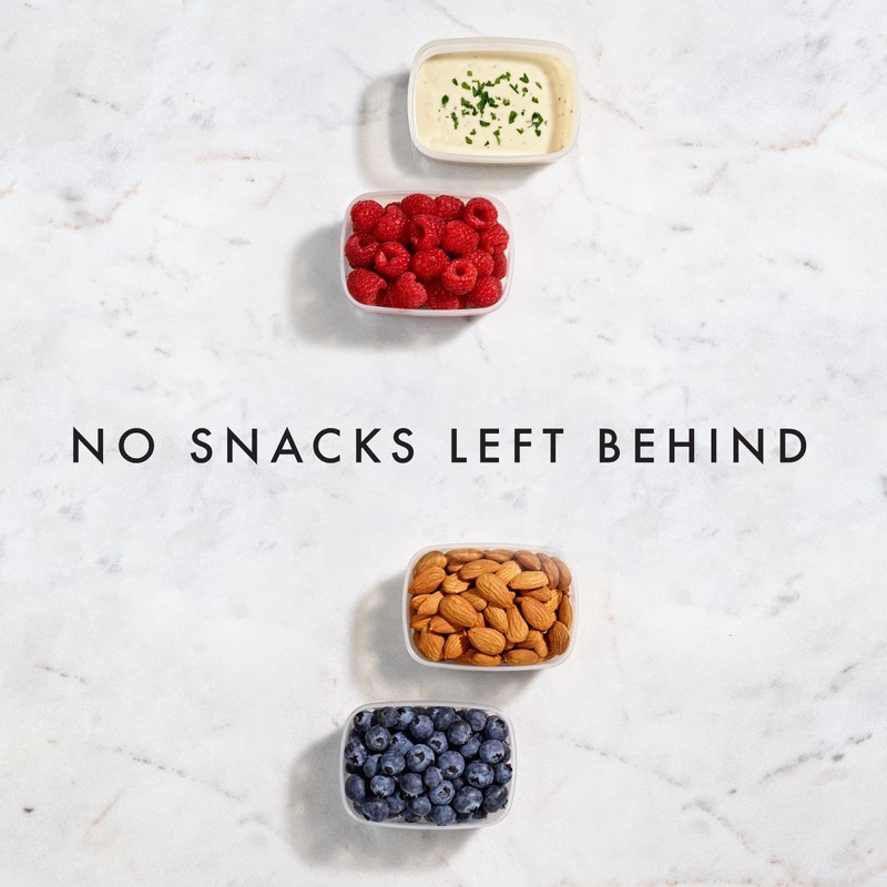 Fit & Fresh Small Plastic Containers With Lids 4 oz,