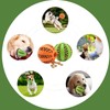 Pets Small Dog Toy Ball Stimulating interactive Teeth cleaning Calming