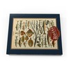 MyPuzzle Fish for All, Vintage Art Poster, Adolphe Millot -