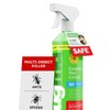 BugMD Essential Pest Control Concentrate – Natural Ant, Roach, Spider