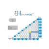 Bauhandel24-200 Pull Tabs, 1 mm, Tabs, Tile Laying Aid, Laying