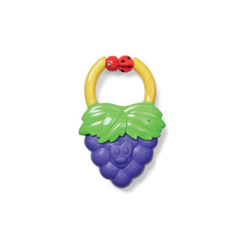 Infantino Vibrating Teether - Style May Vary by Infantino