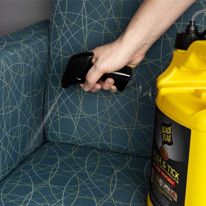 Black Flag Extreme Flea Killer Plus Growth Regulator RTU for