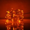 Hometown Evolution, Inc. Orange LED Fairy Lights - Plug in
